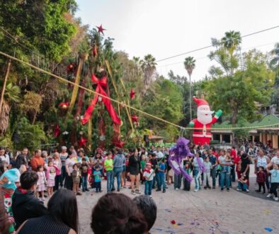 Imagen de WhatsApp 2025-12-08 a las 15.15.06_7c489a90