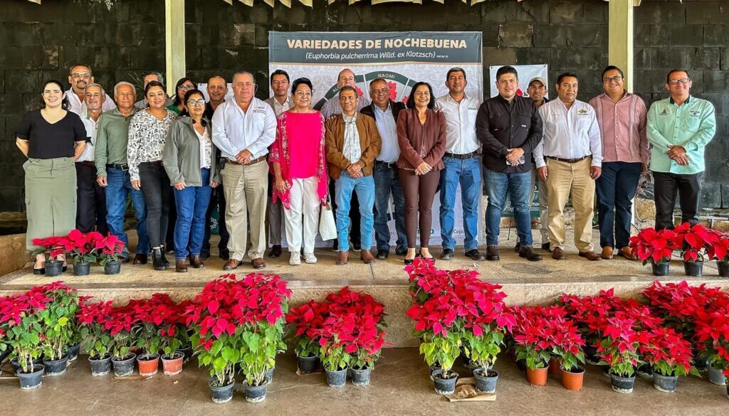 Imagen de WhatsApp 2025-12-08 a las 15.31.02_04f66bb5