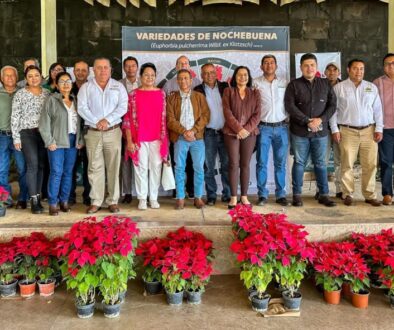 Imagen de WhatsApp 2025-12-08 a las 15.31.02_04f66bb5