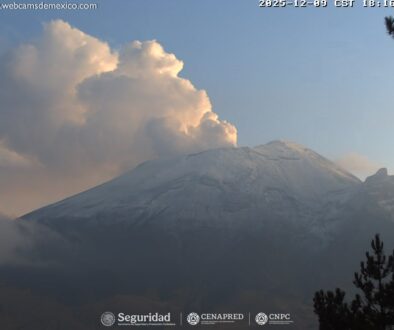 Imagen de WhatsApp 2025-12-10 a las 13.15.12_924209b8