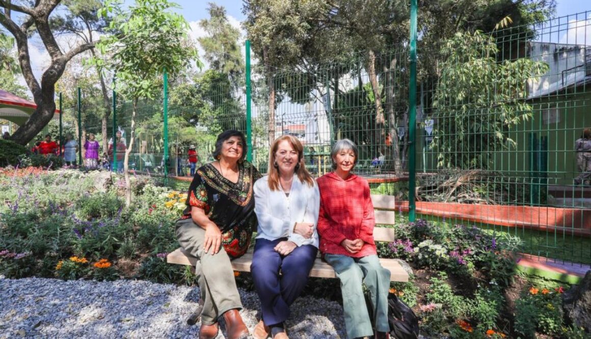 Imagen de WhatsApp 2025-12-11 a las 11.05.15_7be16e30