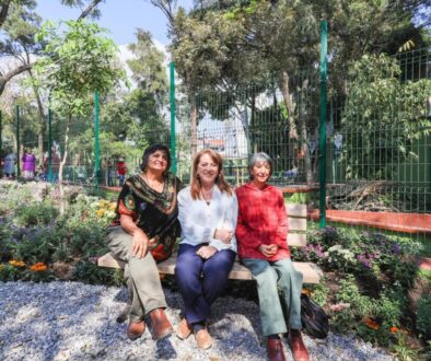 Imagen de WhatsApp 2025-12-11 a las 11.05.15_7be16e30