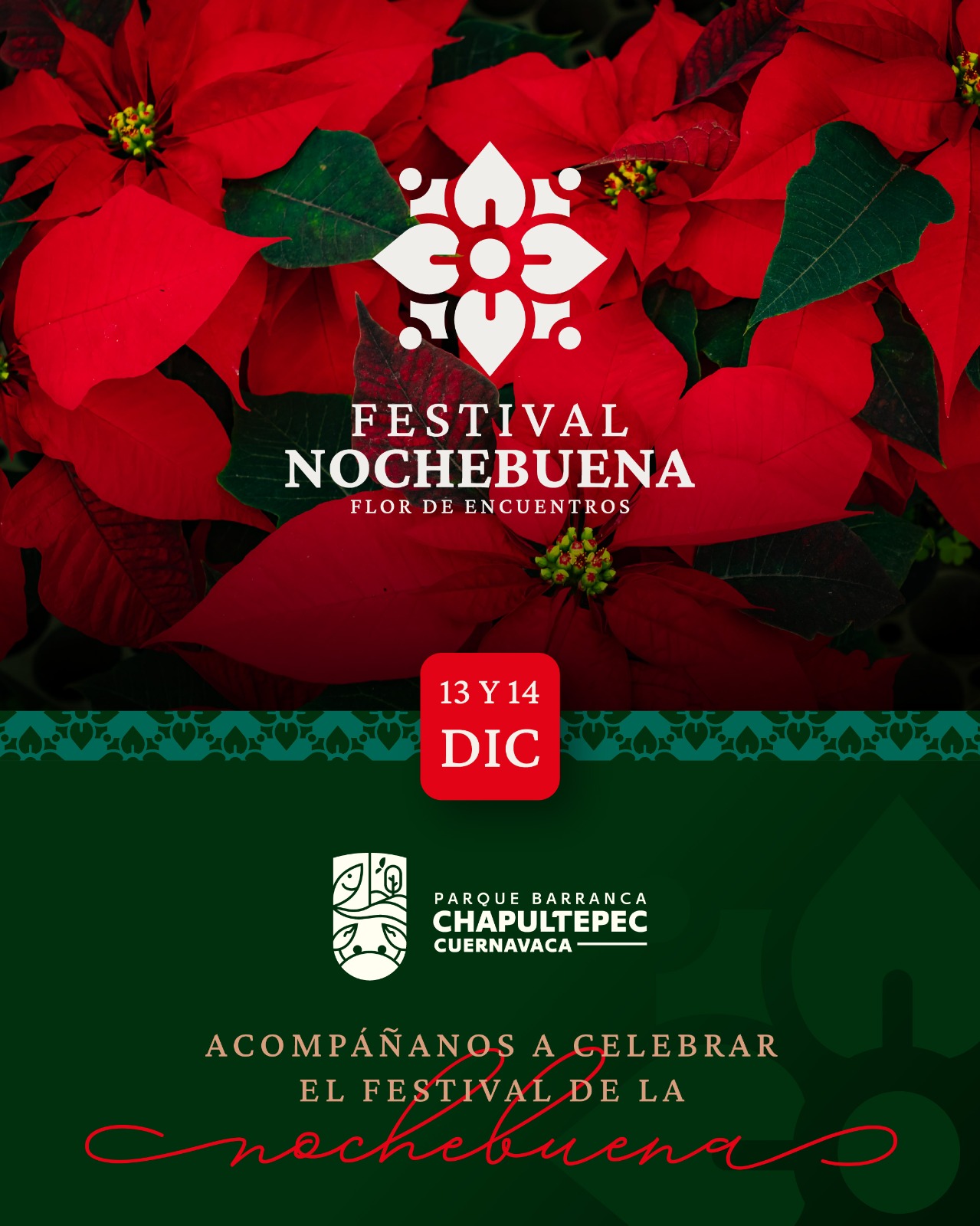 INVITA DESARROLLO SUSTENTABLE AL SEGUNDO FIN DE SEMANA DEL FESTIVAL DE LA NOCHEBUENA EN BARRANCA DE CHAPULTEPEC