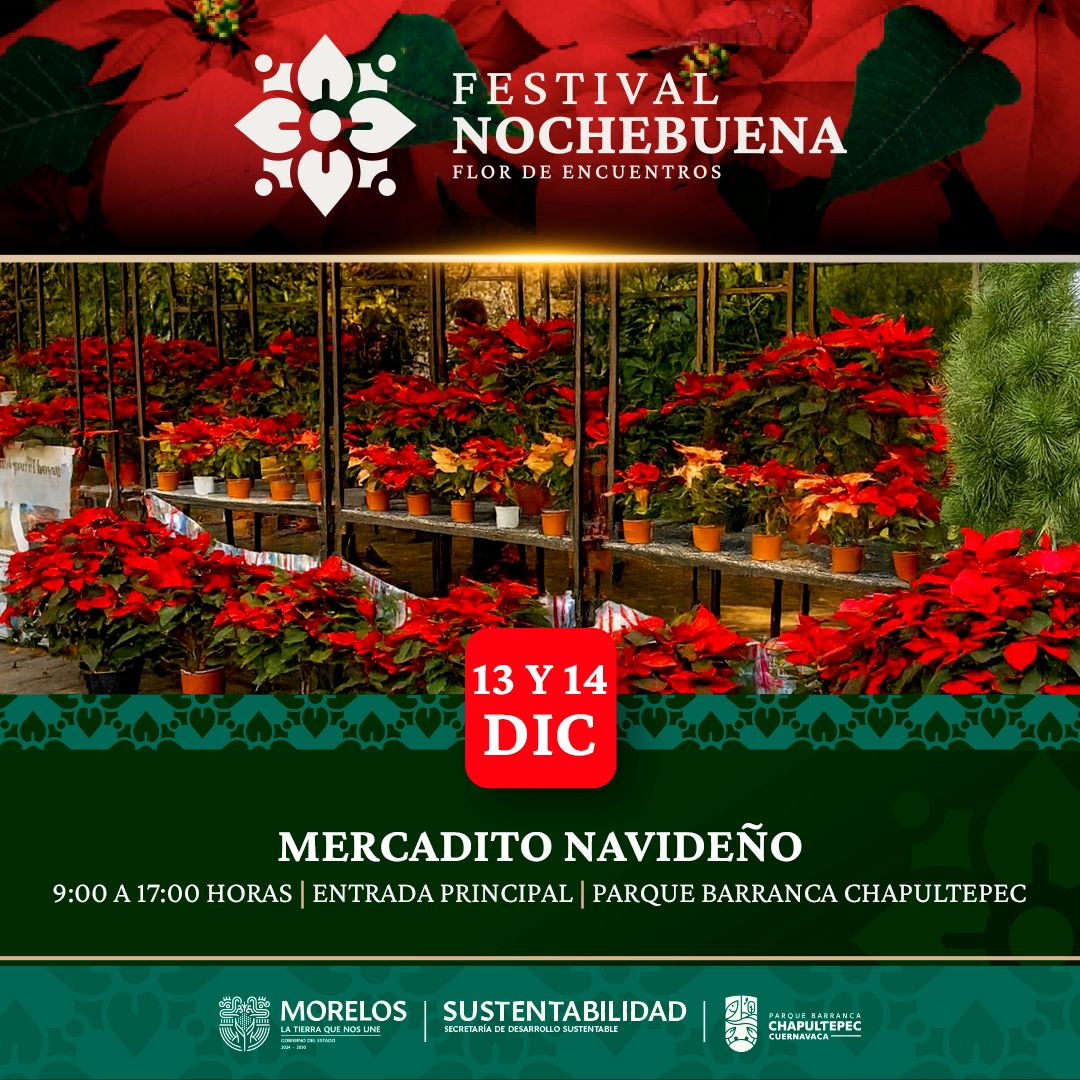 INVITA DESARROLLO SUSTENTABLE AL SEGUNDO FIN DE SEMANA DEL FESTIVAL DE LA NOCHEBUENA EN BARRANCA DE CHAPULTEPEC