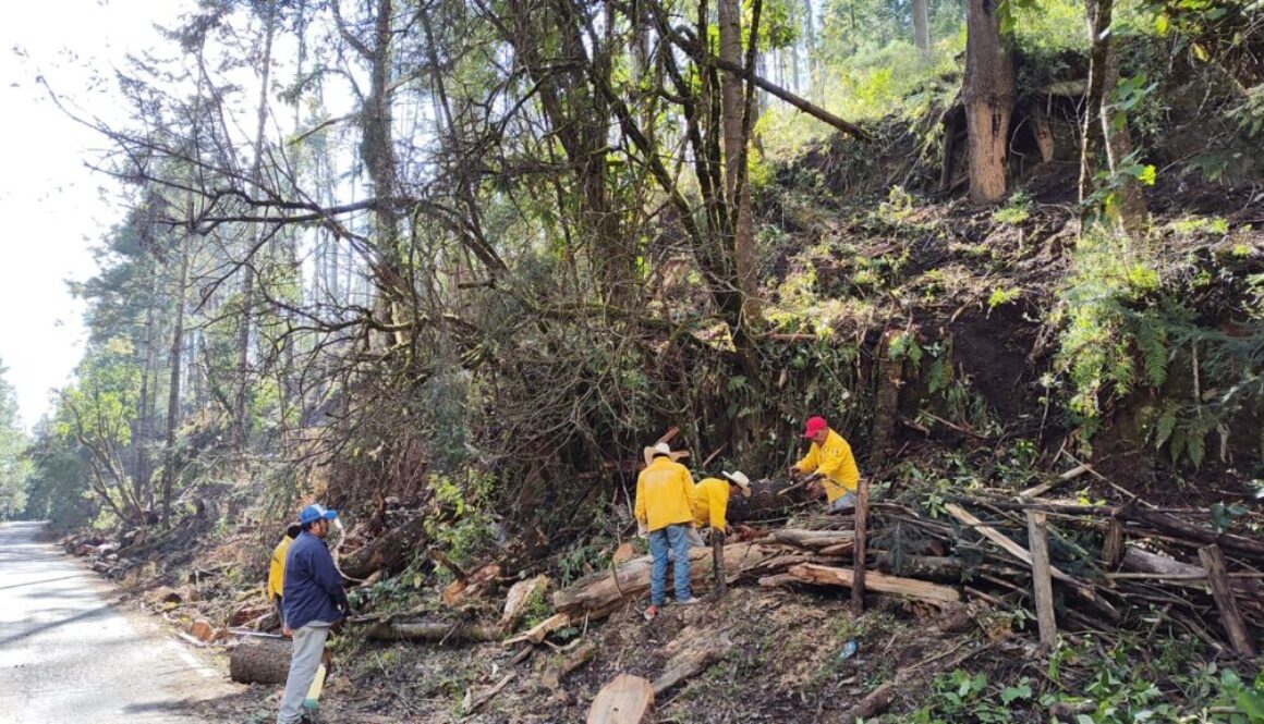 Imagen de WhatsApp 2025-12-12 a las 17.50.44_6055df8b