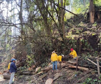 Imagen de WhatsApp 2025-12-12 a las 17.50.44_6055df8b