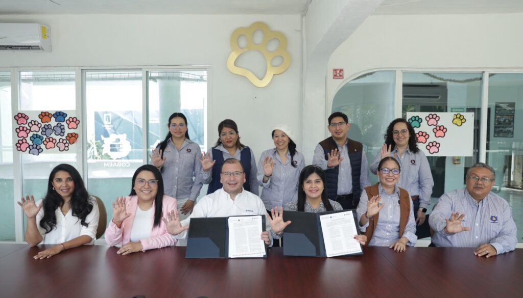 481166cc-6c93-4050-95b4-6f8327ded687