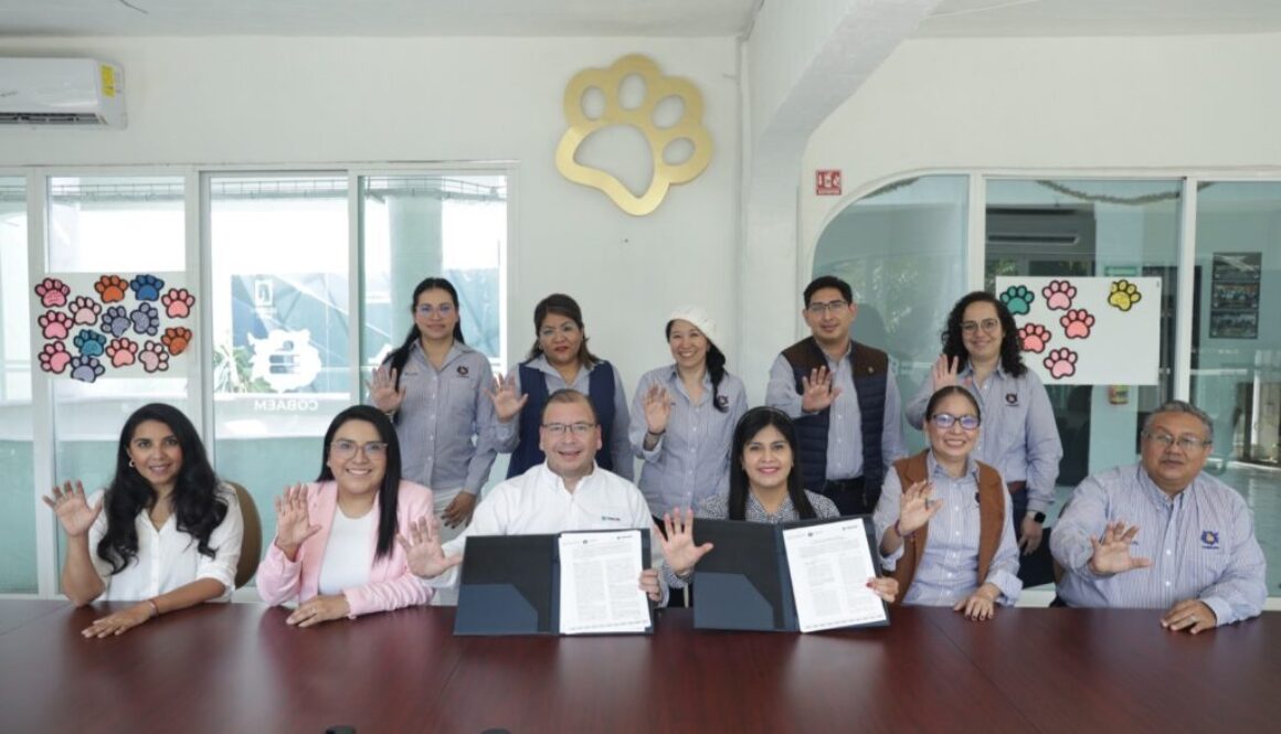 481166cc-6c93-4050-95b4-6f8327ded687