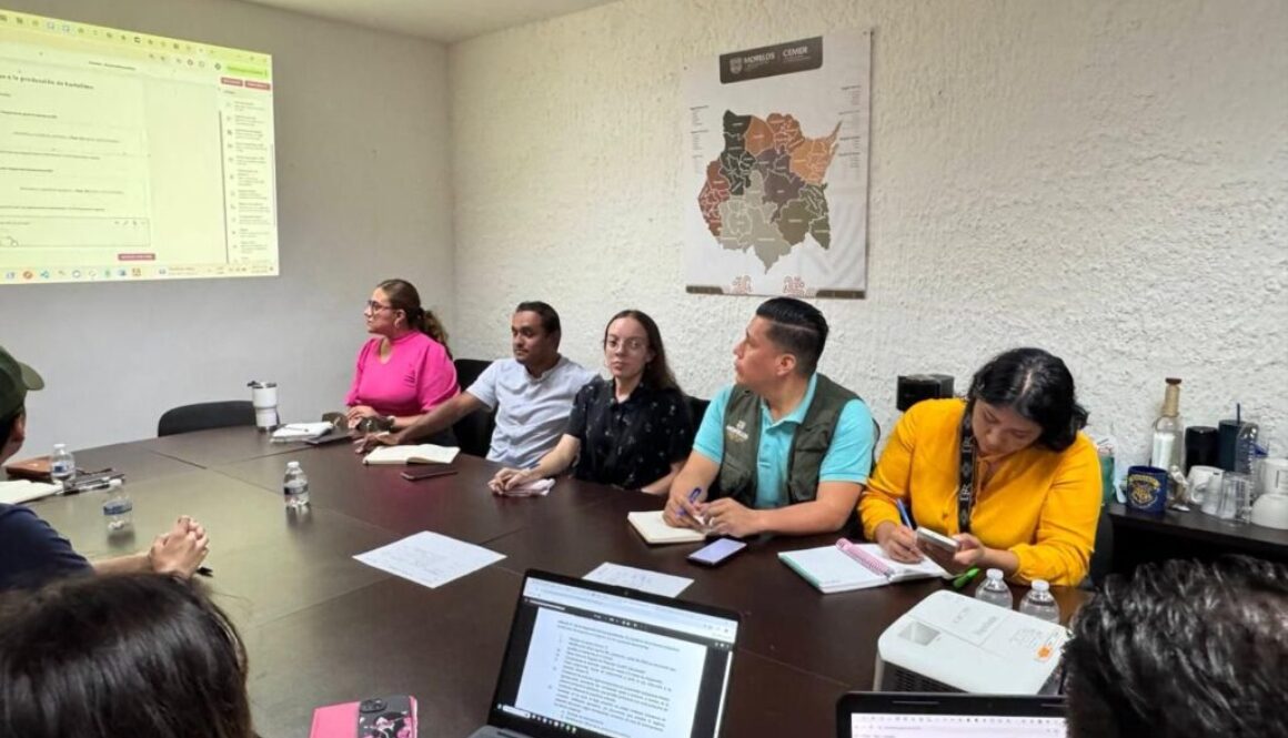 eb9eab18-2d15-42a3-b5e2-0a0bfd6bac03