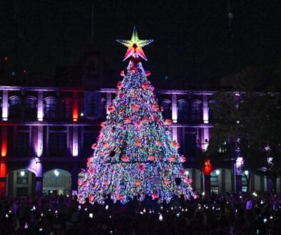 Imagen de WhatsApp 2025-12-15 a las 20.55.20_d5d5b408