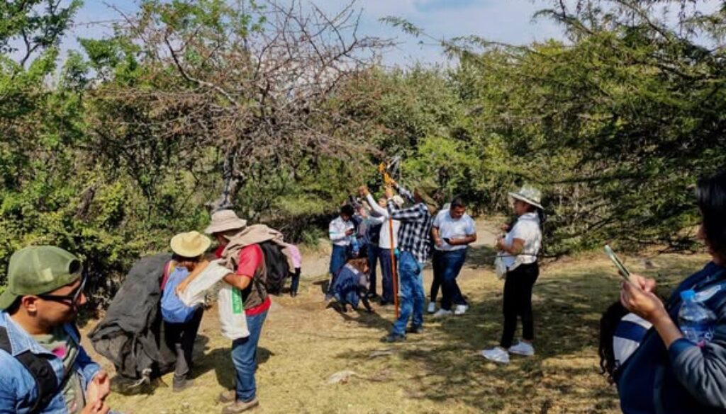 599627534_1458008459224880_3623419214162421327_n