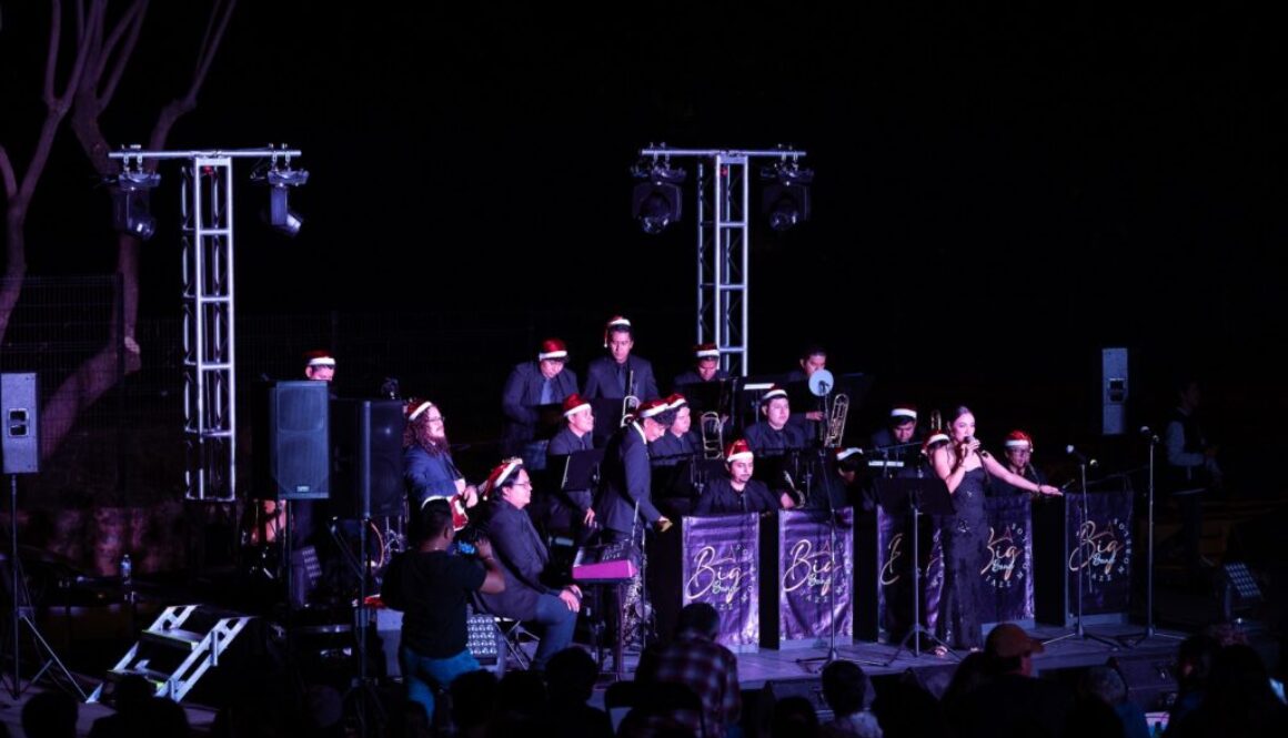 Imagen de WhatsApp 2025-12-17 a las 11.20.25_e82d10ae