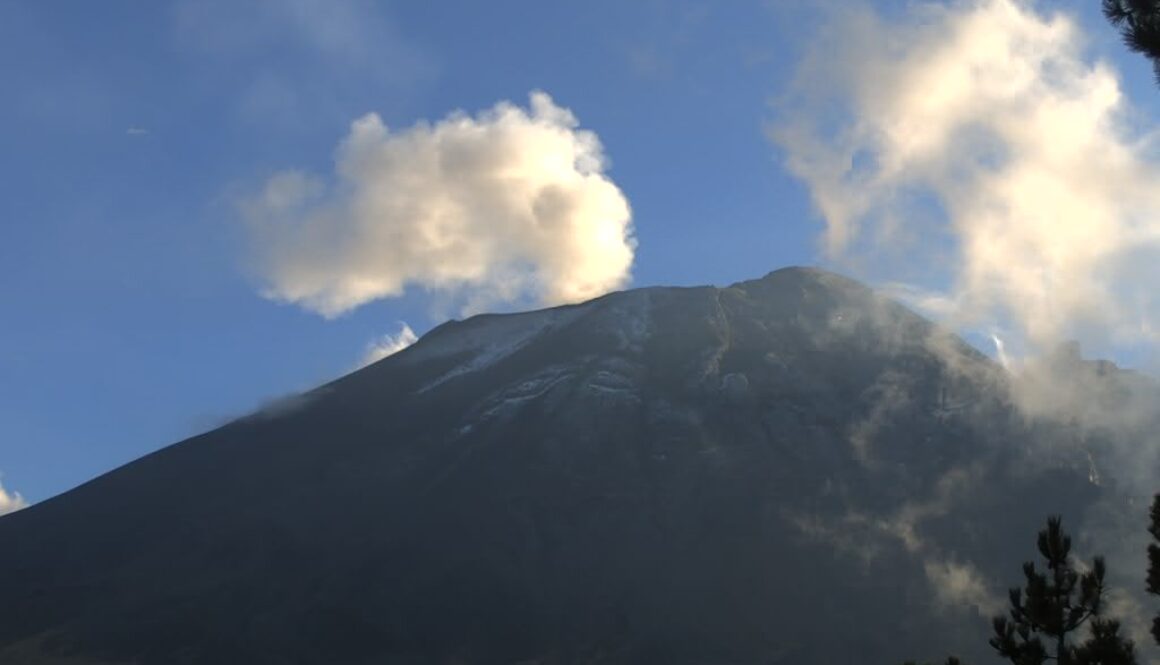 Imagen de WhatsApp 2025-12-17 a las 14.16.02_1e8e4b0f