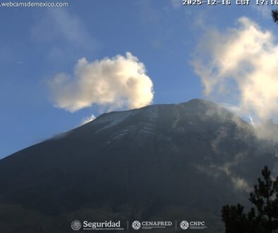 Imagen de WhatsApp 2025-12-17 a las 14.16.02_1e8e4b0f