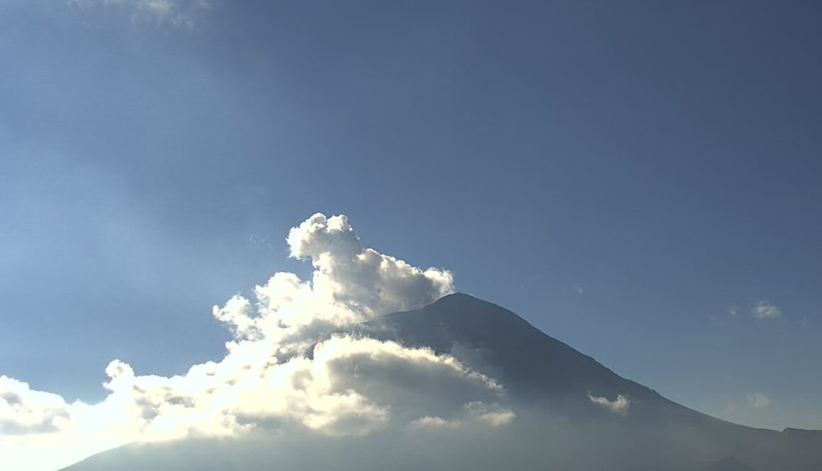 1e8fb15d-ce23-441c-9e97-d3d02887e8ea