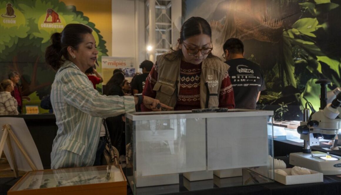 ec22f4d5-5be0-4d38-a1cb-c332fd294deb