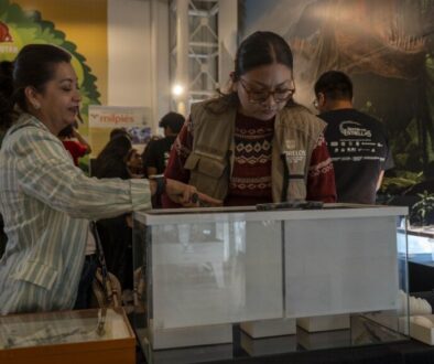 ec22f4d5-5be0-4d38-a1cb-c332fd294deb