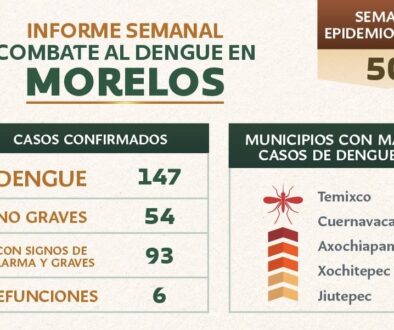 8ada2494-dac0-4ec3-9227-95df573b4da5