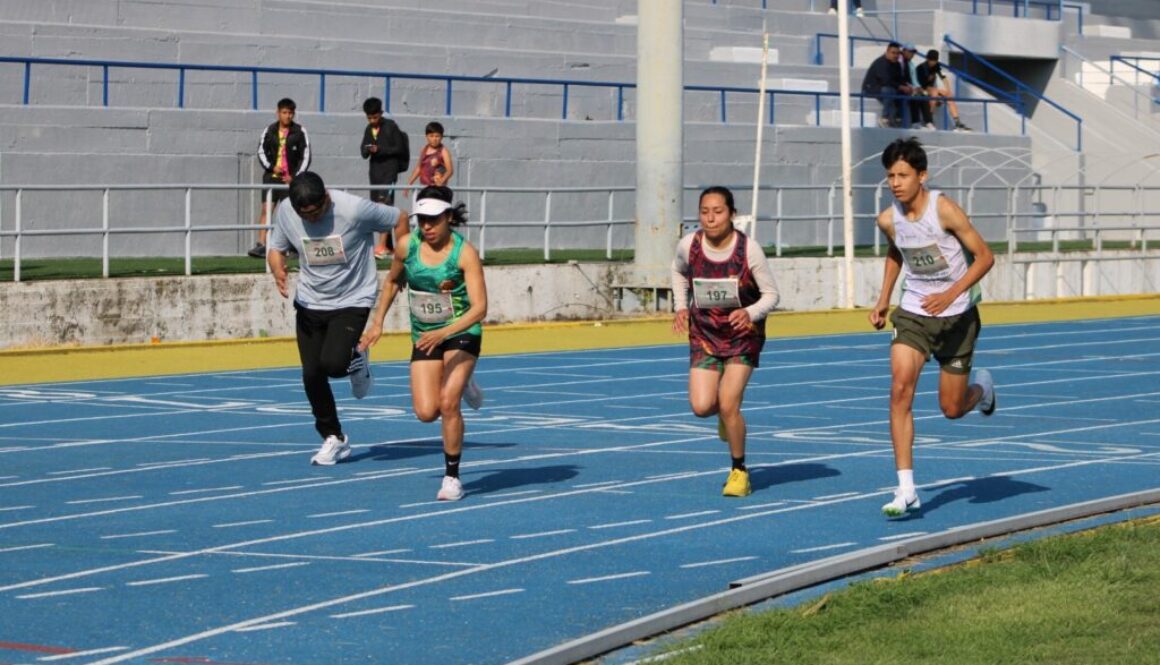 34f2fecb-90ce-4920-acf4-a8a208bb0382