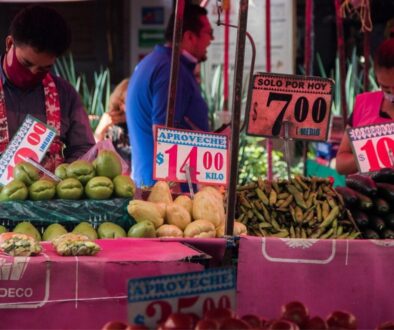 changarros-economia-mexico