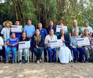 WhatsApp Image 2025-12-23 at 2.55.18 PM