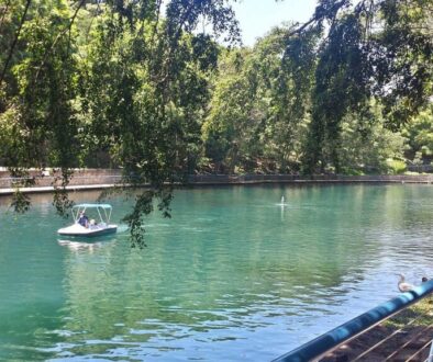 paddle-boats-on-small
