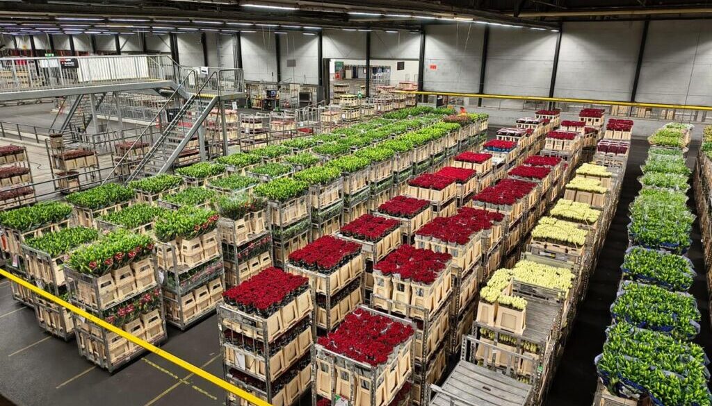 WhatsApp Image 2025-12-24 at 2.00.09 PM