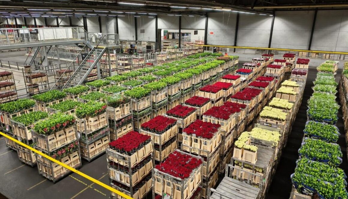 WhatsApp Image 2025-12-24 at 2.00.09 PM