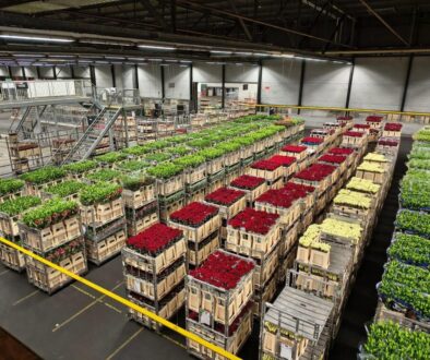 WhatsApp Image 2025-12-24 at 2.00.09 PM