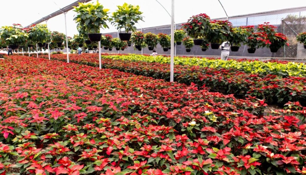 2894fb52-ec5d-48a0-8d09-1cf823c33e0b