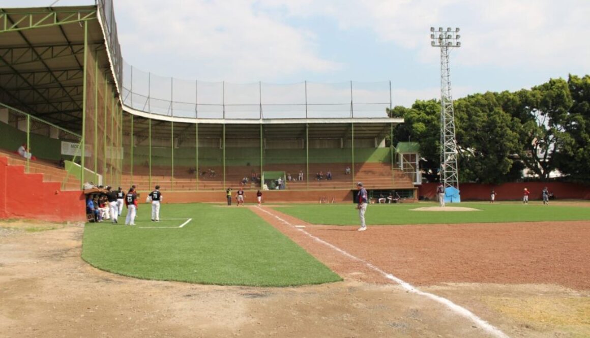 e6572e2c-2b2f-461d-85a4-310da4e5546c