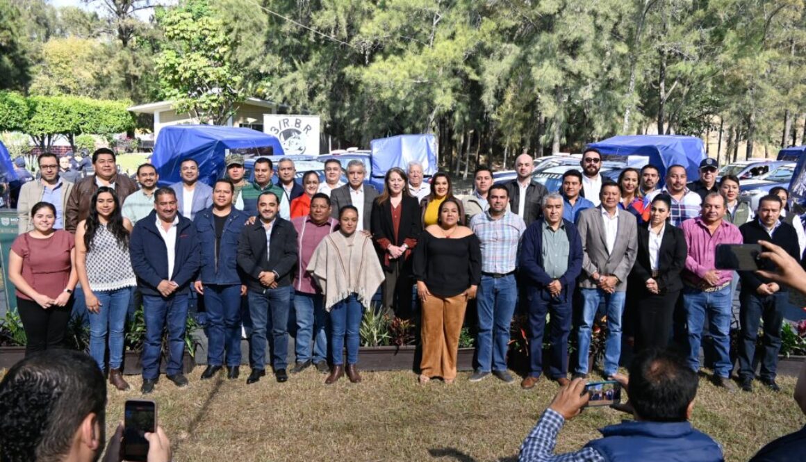 afe20a31-00eb-4533-920d-2e172da52987