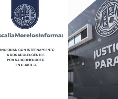 d31f4d0d-2a48-4668-a442-758db24e0691