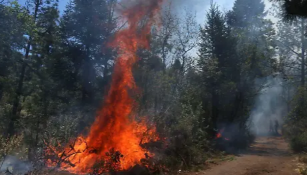 Captura de pantalla 2025-12-28 202110