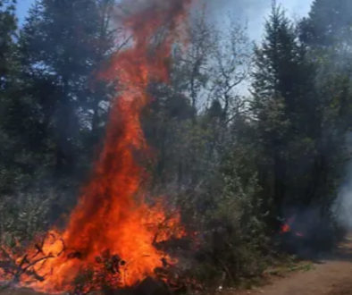 Captura de pantalla 2025-12-28 202110