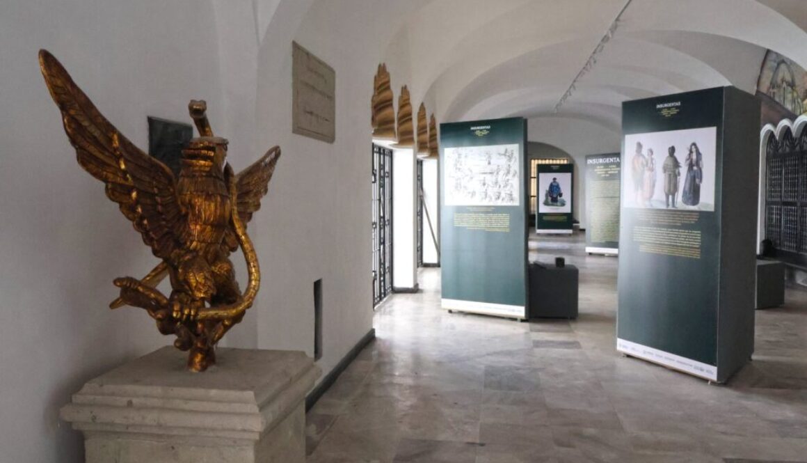 WhatsApp Image 2025-12-30 at 2.45.19 PM