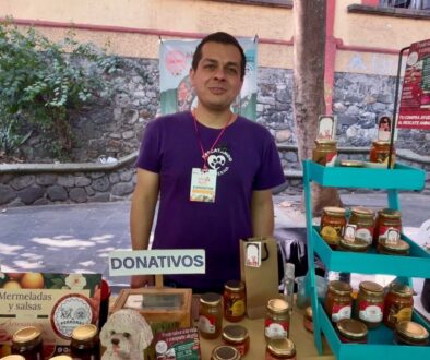 22ee644d-f6da-4d90-8d9a-2d4d84dfd3b4