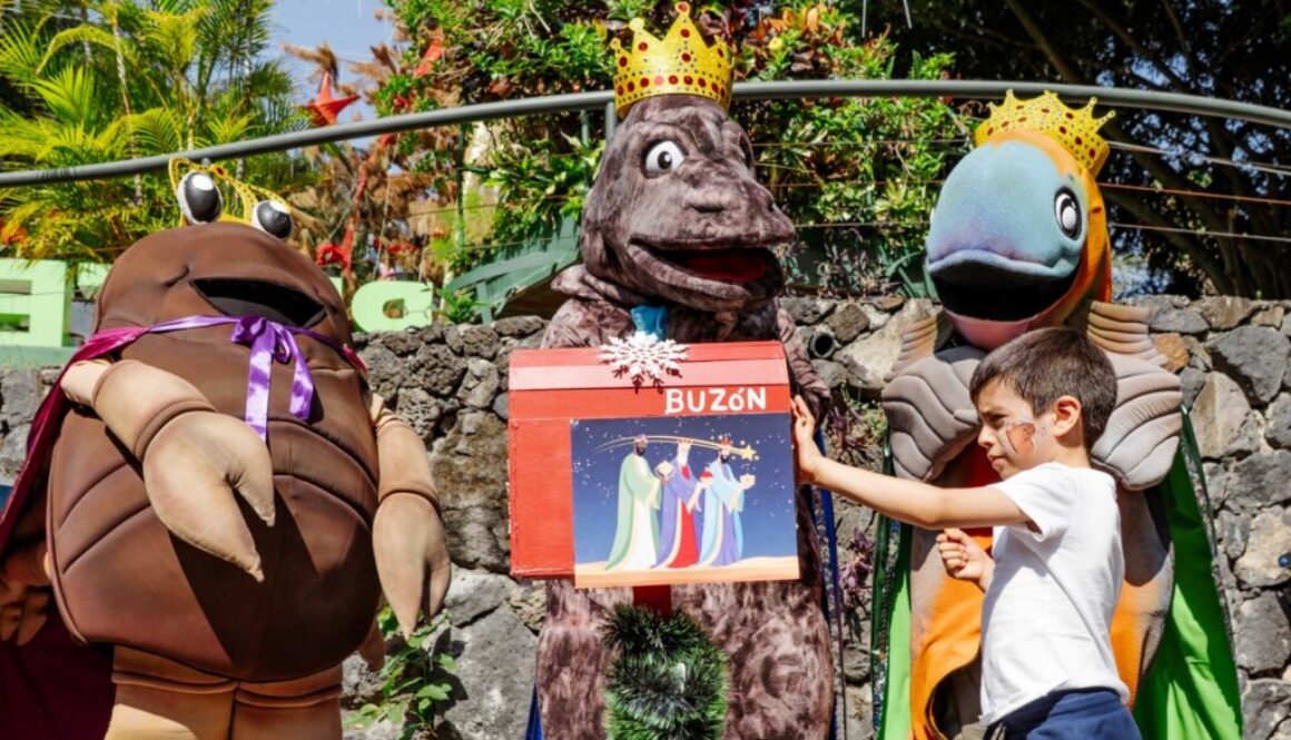 daf90c64-4fe8-4d9d-ba15-b59d5fab17bc