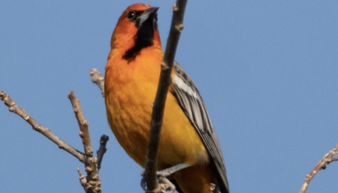 4f12a233-2318-4e69-86ca-67d37a02a910