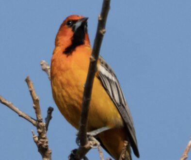 4f12a233-2318-4e69-86ca-67d37a02a910