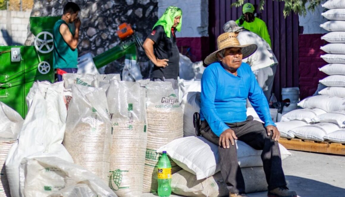 ad18f316-8a0c-4f96-a9bb-a6b0c37f685c