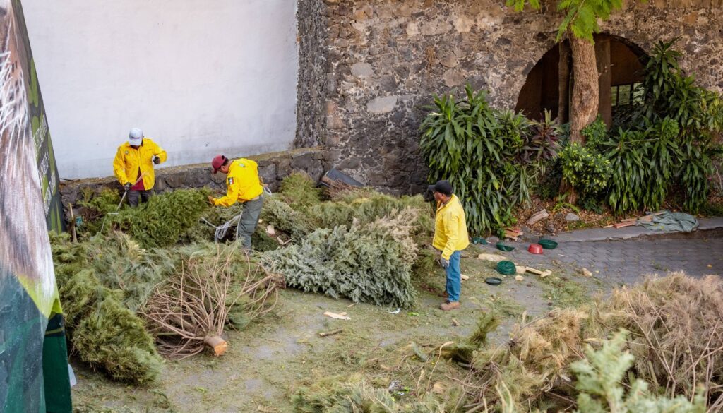 WhatsApp Image 2026-01-07 at 2.55.33 PM