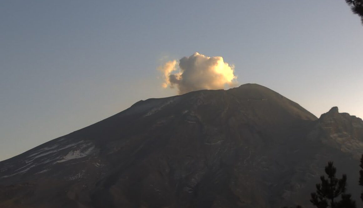 WhatsApp Image 2026-01-07 at 12.23.48 PM