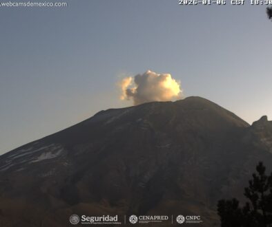 WhatsApp Image 2026-01-07 at 12.23.48 PM