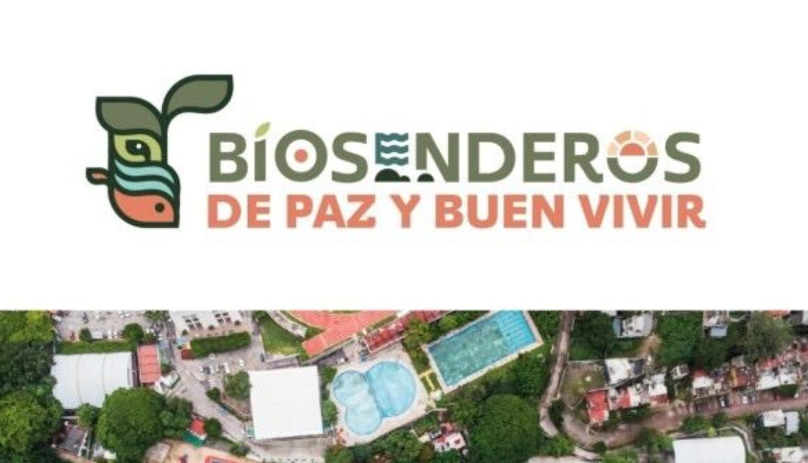 WhatsApp Image 2026-01-08 at 3.47.41 PM