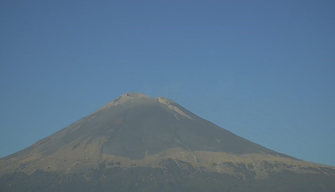 WhatsApp Image 2026-01-08 at 2.05.31 PM