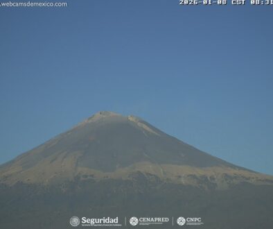 WhatsApp Image 2026-01-08 at 2.05.31 PM