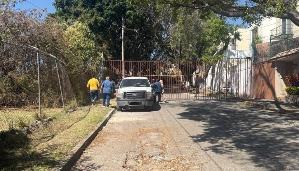 WhatsApp Image 2026-01-08 at 7.01.02 AM