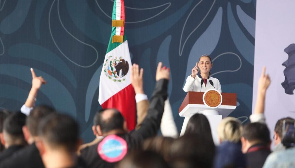 WhatsApp Image 2026-01-08 at 12.05.24 PM