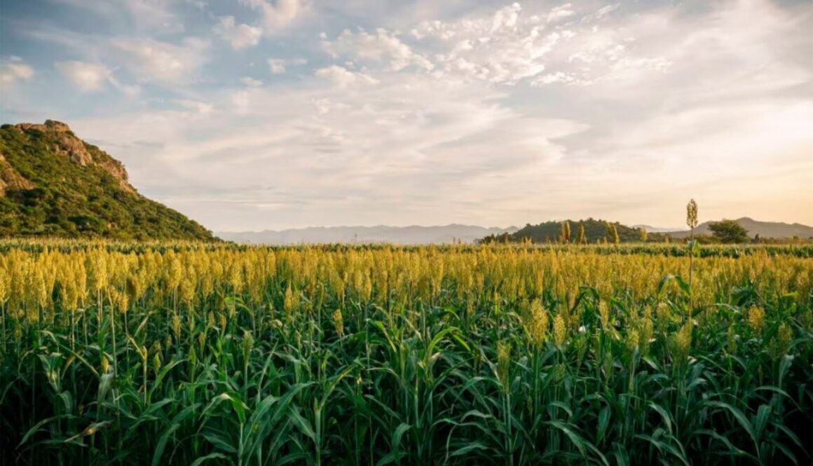 90d9c1fa-65fd-4ecf-8f34-d01f1d831923